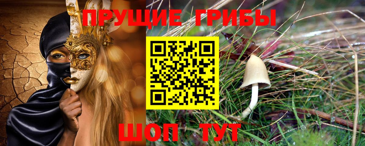 Самара  Галлюциногенные грибы ЛСД  Вход с VPN  Галлюциногенные грибы прущие грибы 