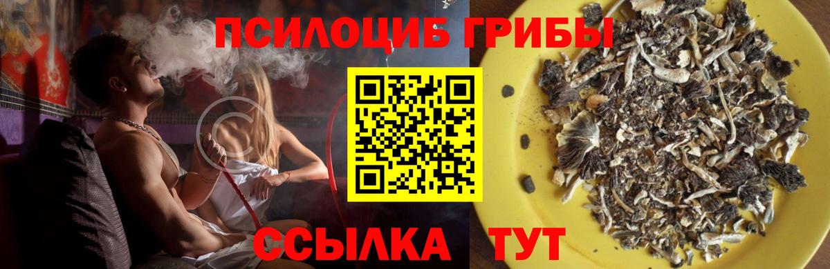 Псилоцибиновые грибы мухоморы Самара